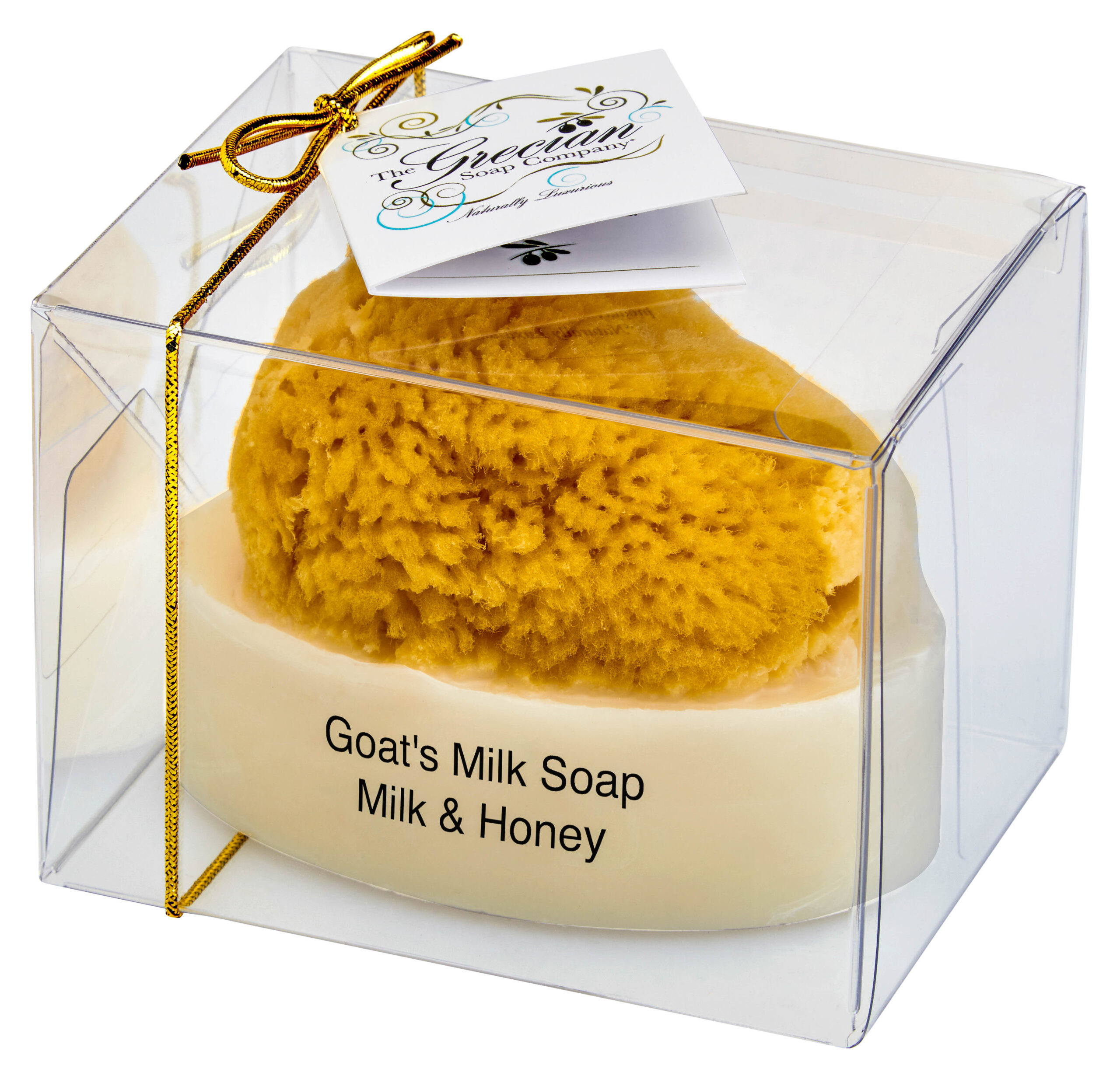Goat's Milk Soap w/Sponge - Milk & Honey