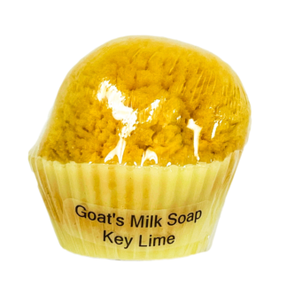 Goat's Milk Cupcake Soap w/Sponge - Key Lime