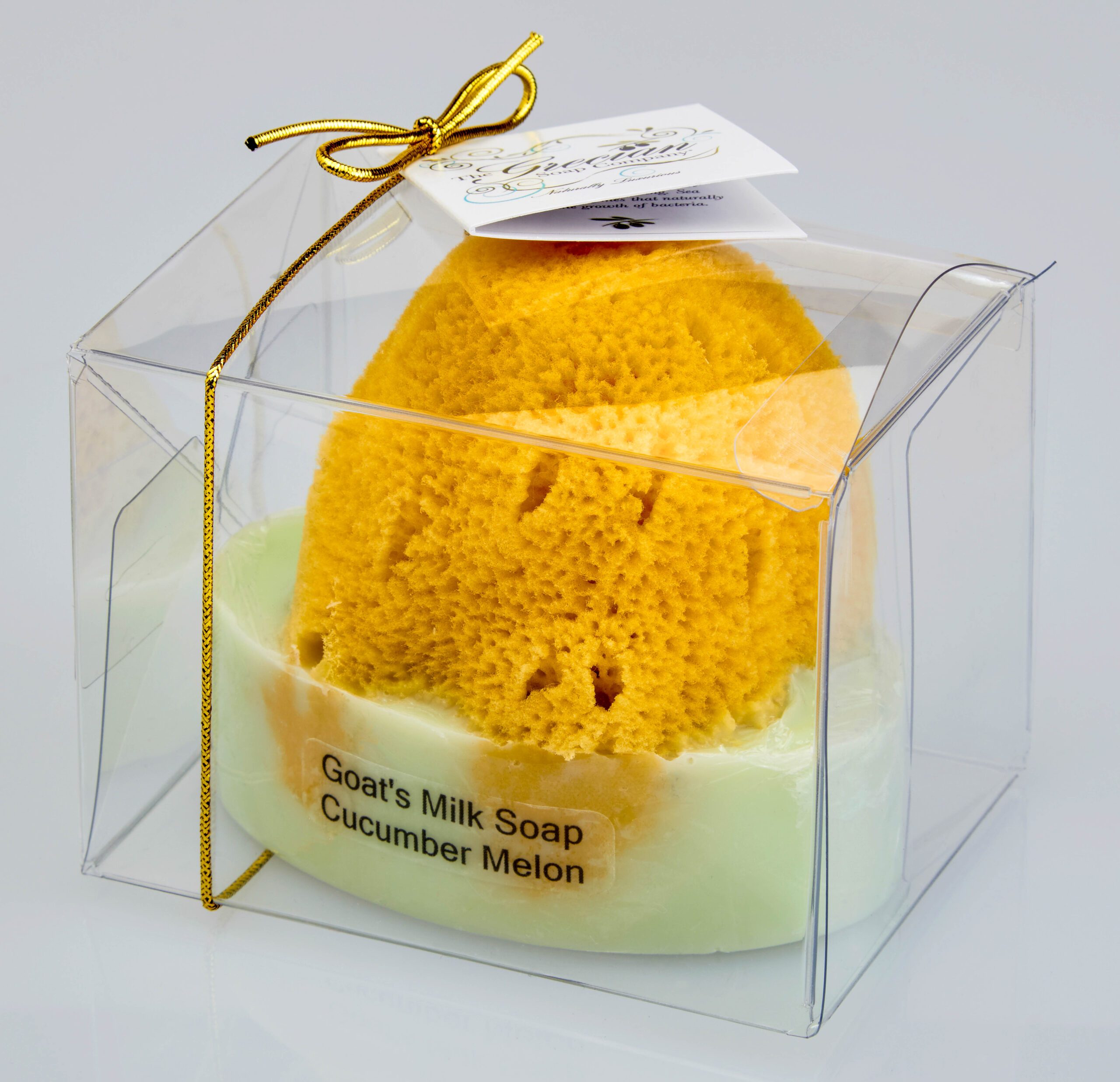 Goat’s Milk Soap w/Sponge – Cucumber melon
