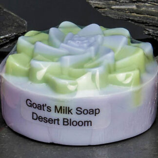 Succulent Soap - Purple