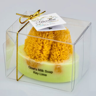 Goat's Milk Soap w/Sponge - Key Lime