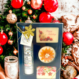 Happy Holiday Picture Soaps, Lotion & Poinsettia Gift Set - Cranberry Pomegranate