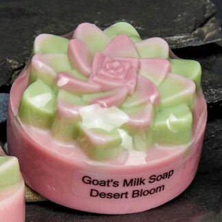 Succulent Soap - Burgundy