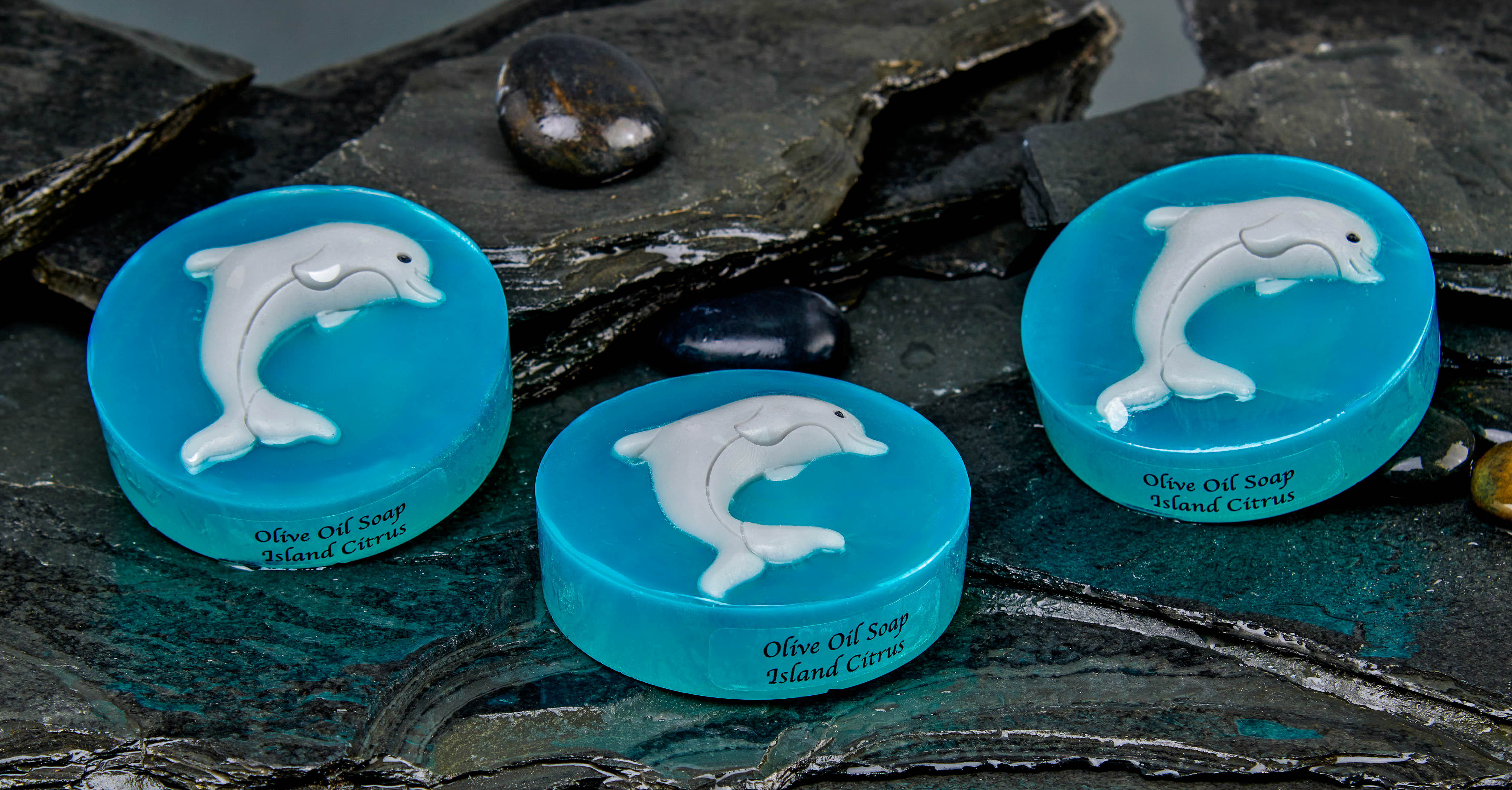 Dolphin Soap