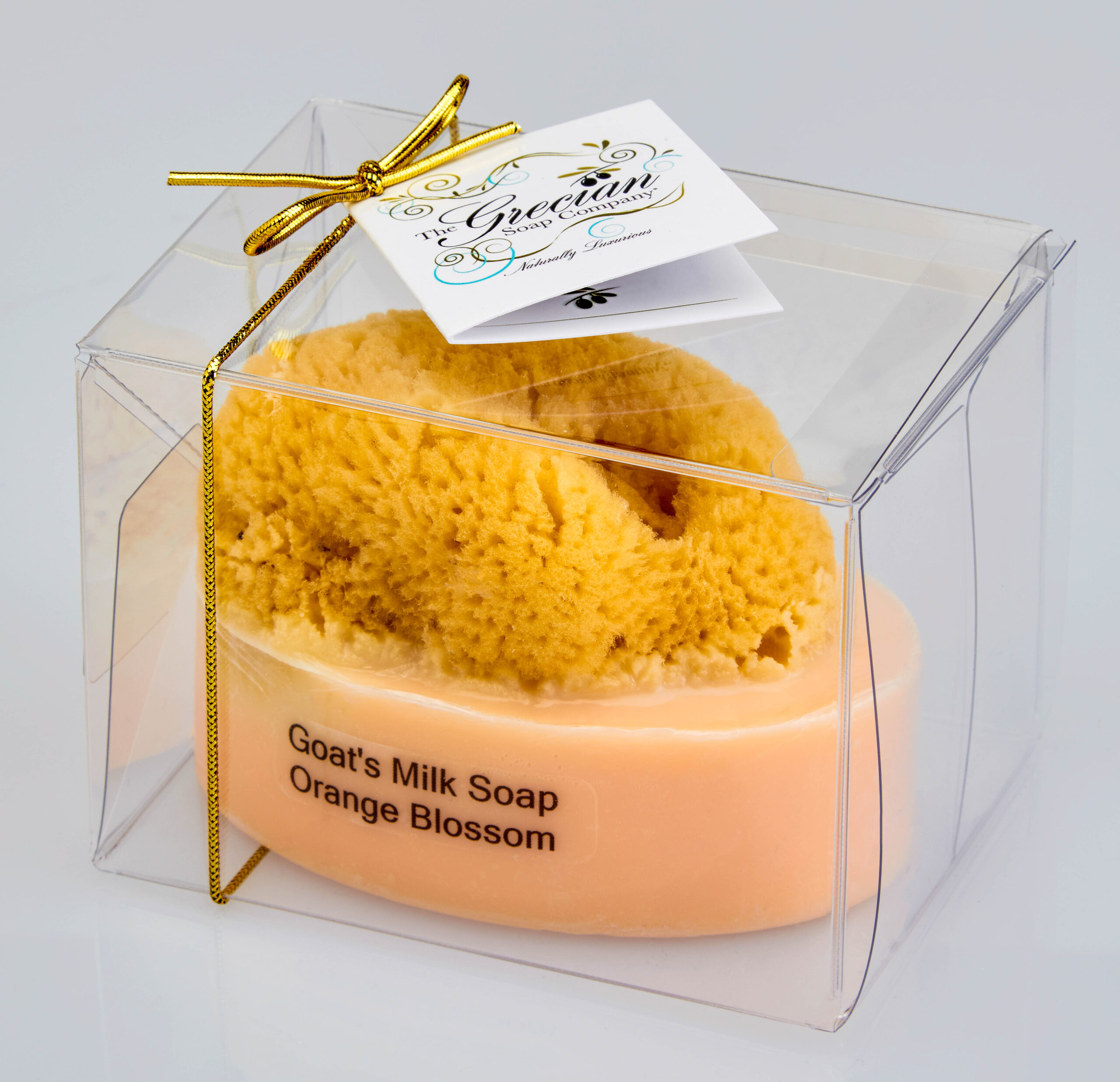 Goat's Milk Soap w/Sponge - Orange Blossom