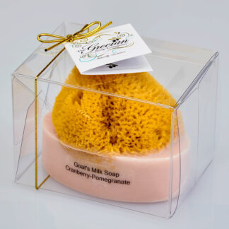 Goat's Milk Soap w/Sponge - Cranberry Pomegranate