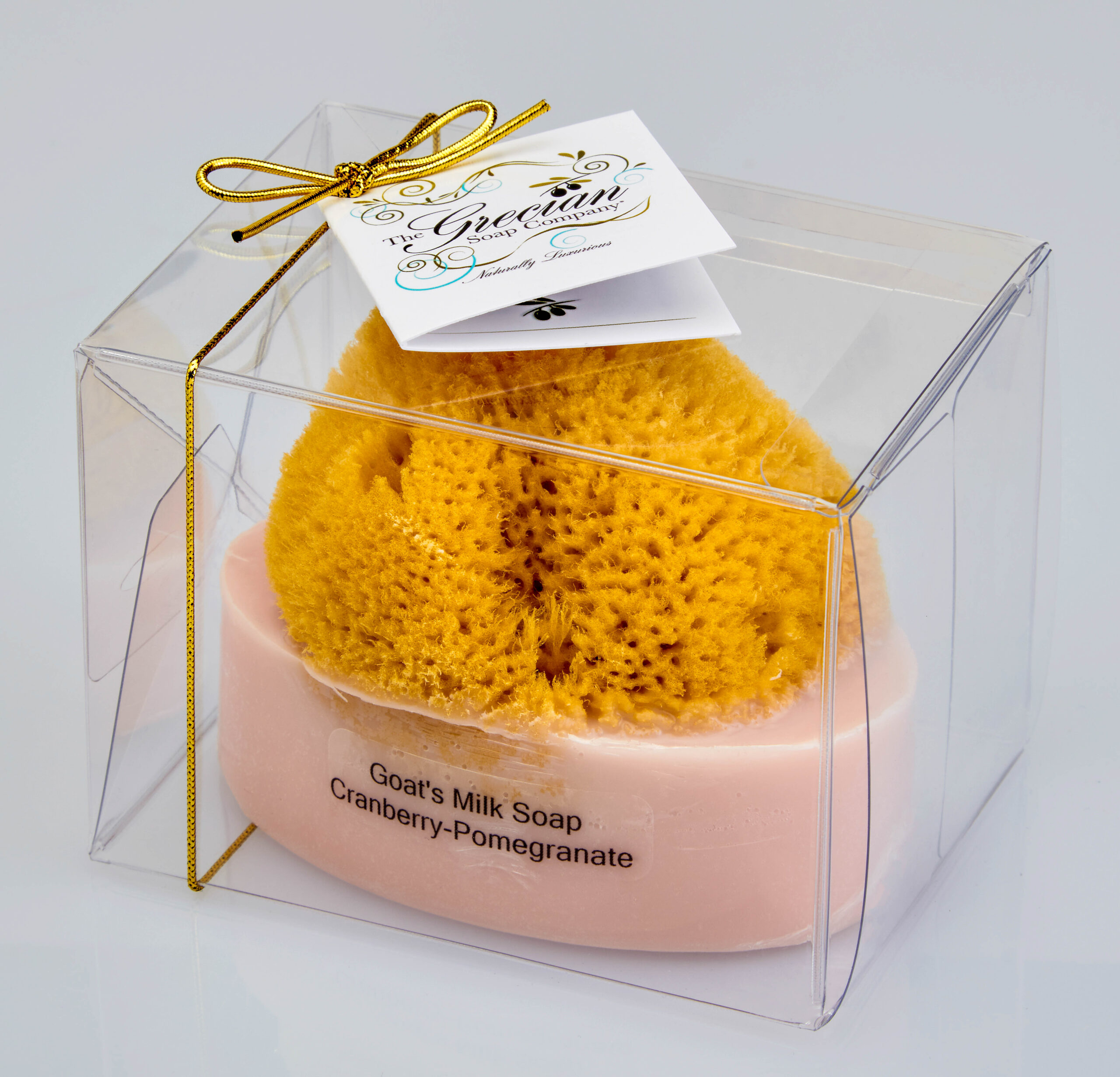 Goat's Milk Soap w/Sponge - Cranberry Pomegranate