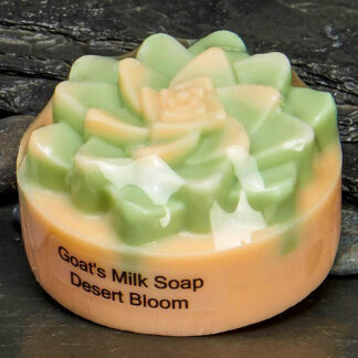 Succulent Soap- Orange