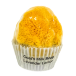 Goat's Milk Cupcake Soap w/Sponge - Lavender Lemon