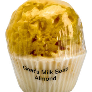 Goat's Milk Cupcake Soap w/Sponge - Almond