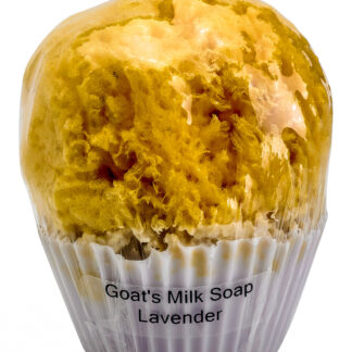 Goat's Milk Cupcake Soap w/Sponge - Lavender