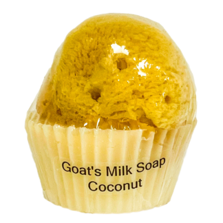 Goat's Milk Cupcake Soap w/Sponge - Coconut