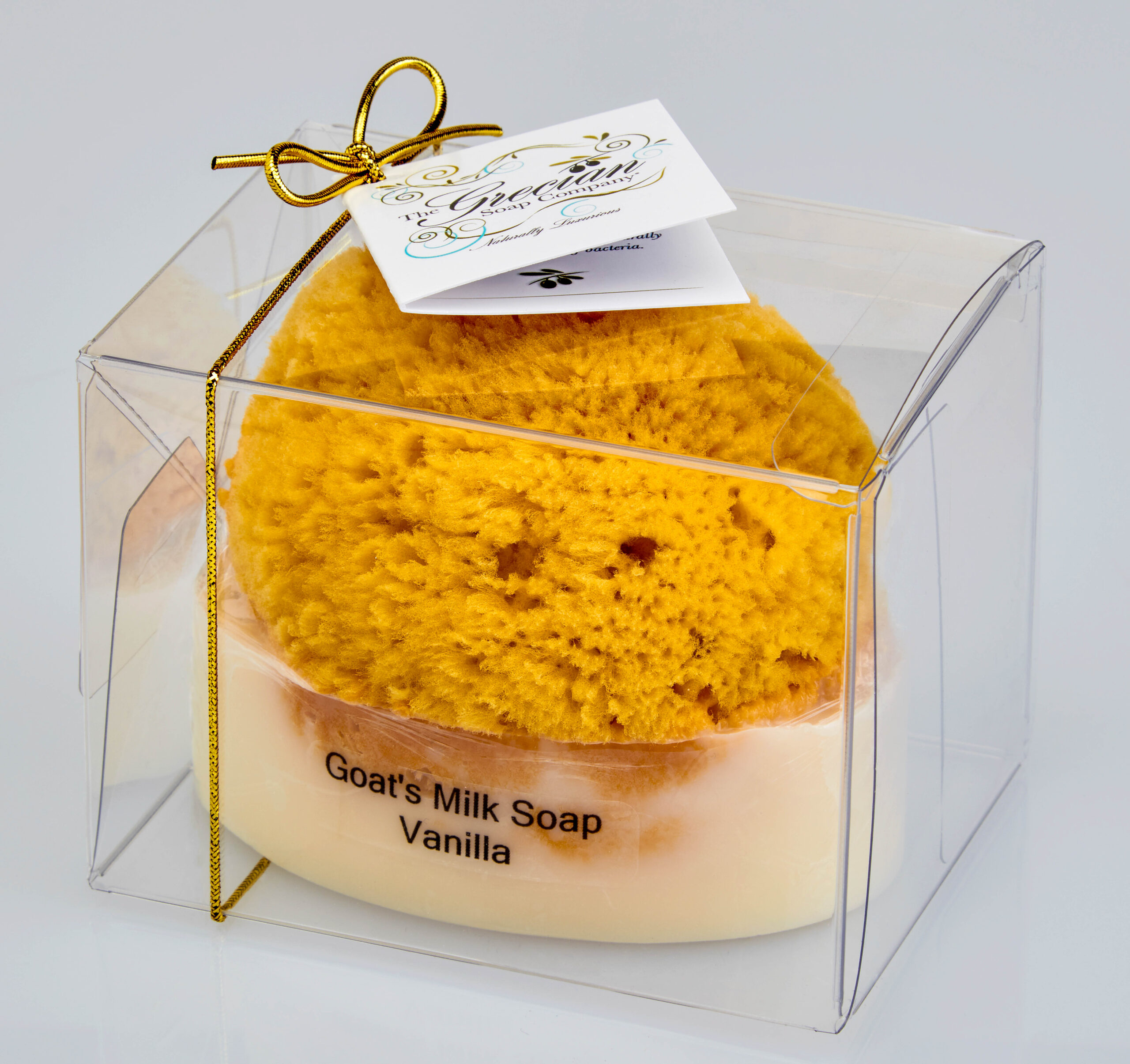 Goat's Milk Soap w/Sponge - Vanilla