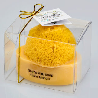 Goat's Milk Soap w/Sponge - Coco Mango