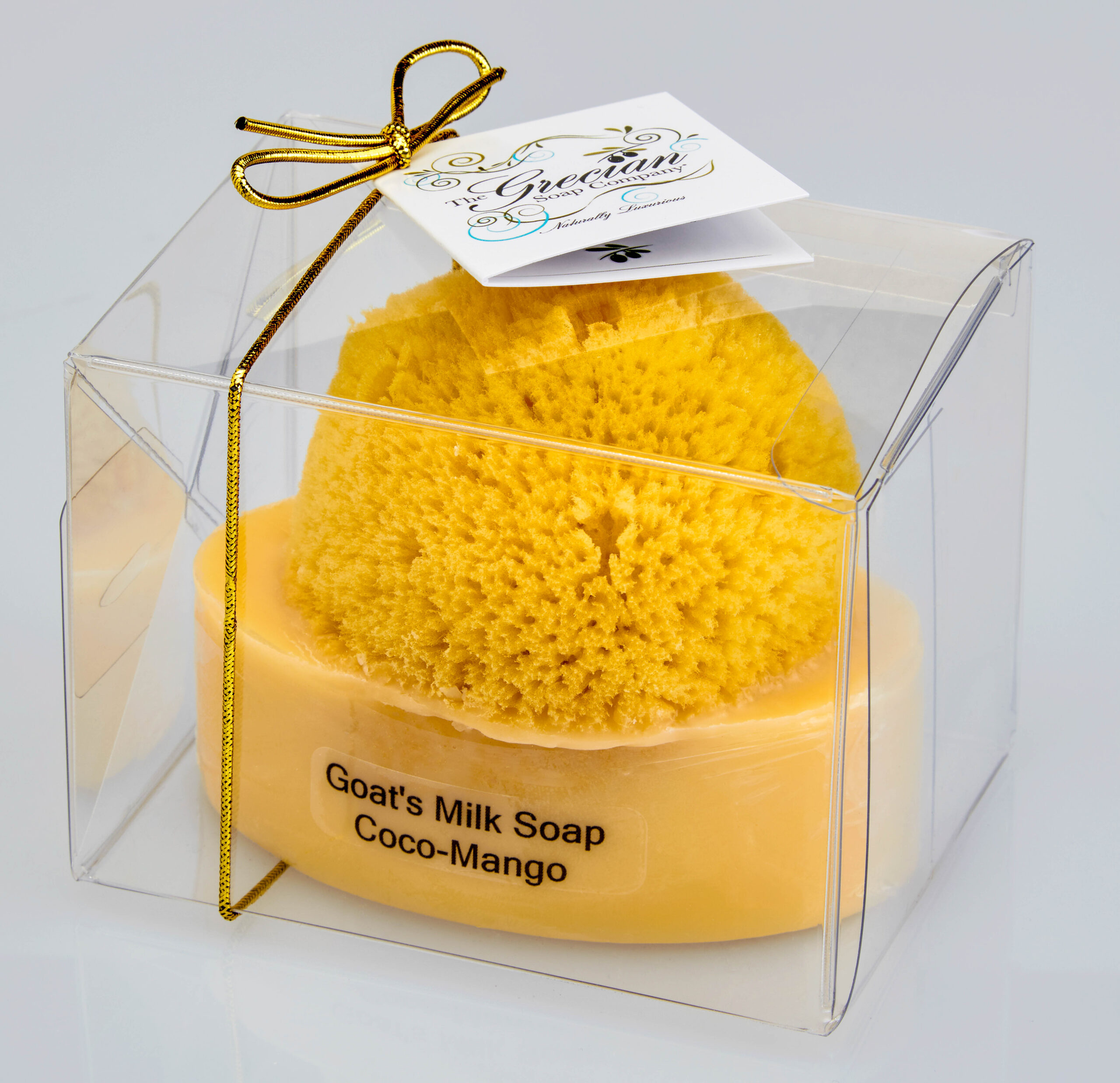 Goat's Milk Soap w/Sponge - Coco Mango