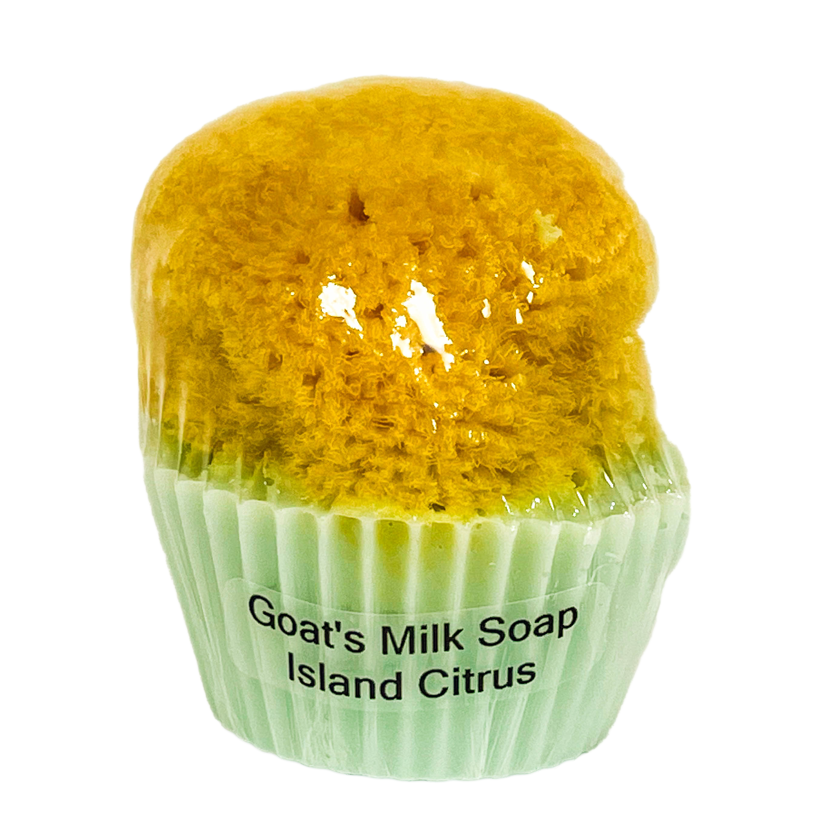 Goat’s Milk Cupcake Soap w/Sponge – Island Citrus